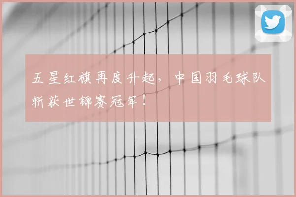 五星红旗再度升起，中国羽毛球队斩获世锦赛冠军！
