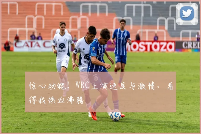 惊心动魄!WRC上演速度与激情,看得我热血沸腾