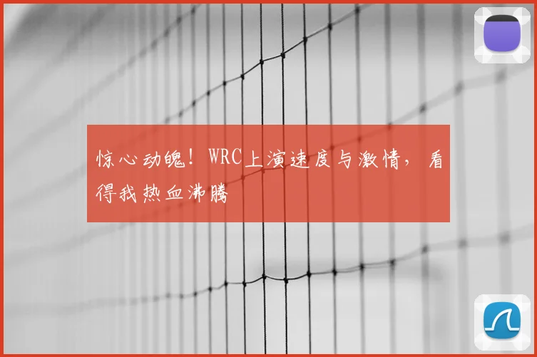 惊心动魄！WRC上演速度与激情，看得我热血沸腾